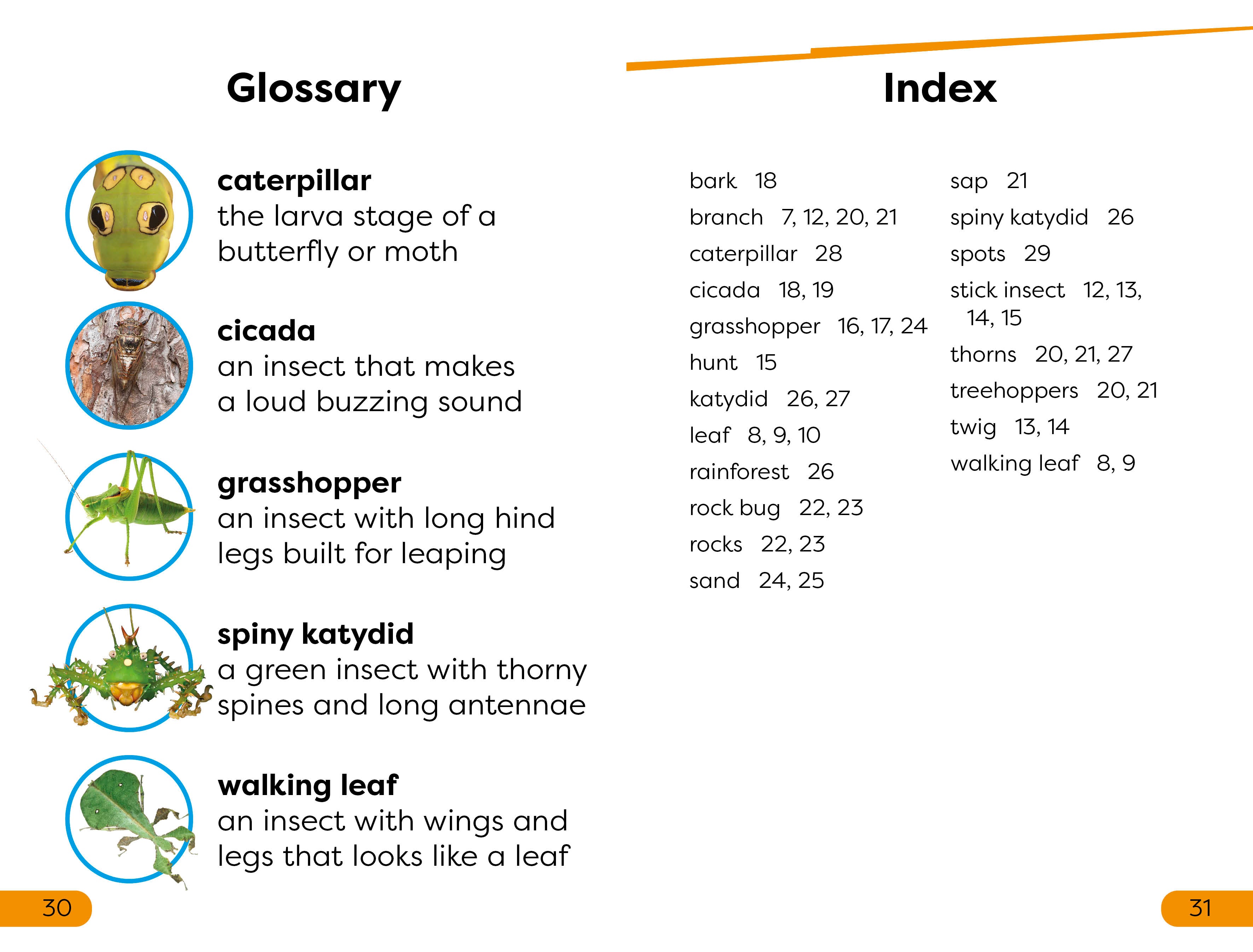 DK Super Readers Level 1 Bugs Hide and Seek