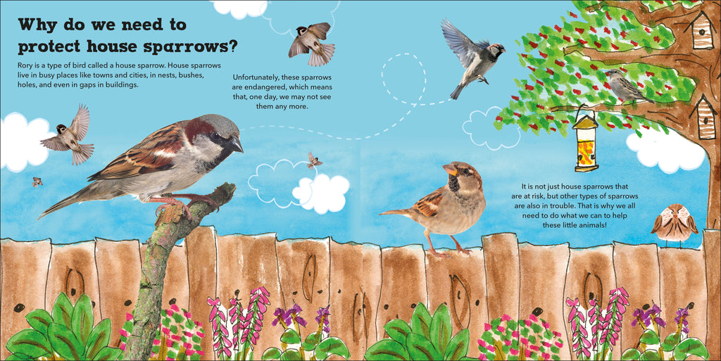Rory the Garden Bird-Spread, Image, (PRHC, Design, Do, Not, Use)-3