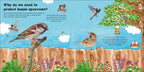 Rory the Garden Bird-Spread, Image, (PRHC, Design, Do, Not, Use)-3