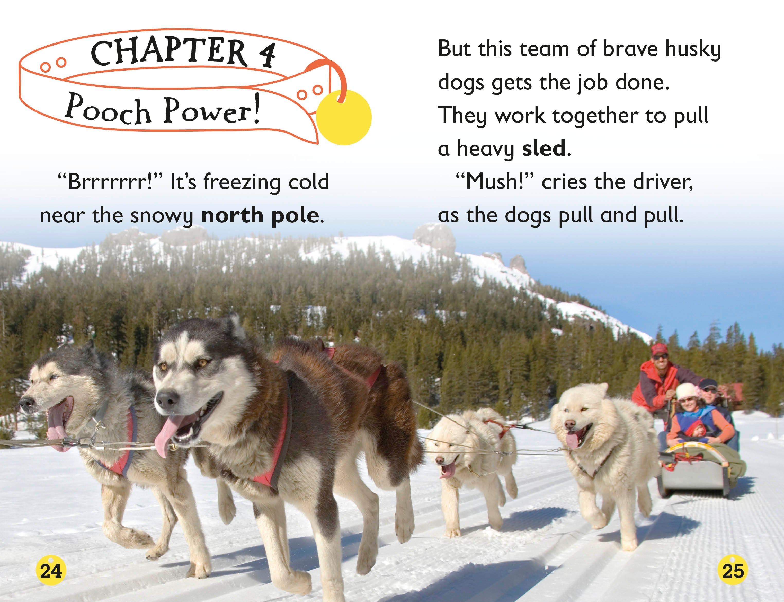 DK Readers L2: Amazing Dogs