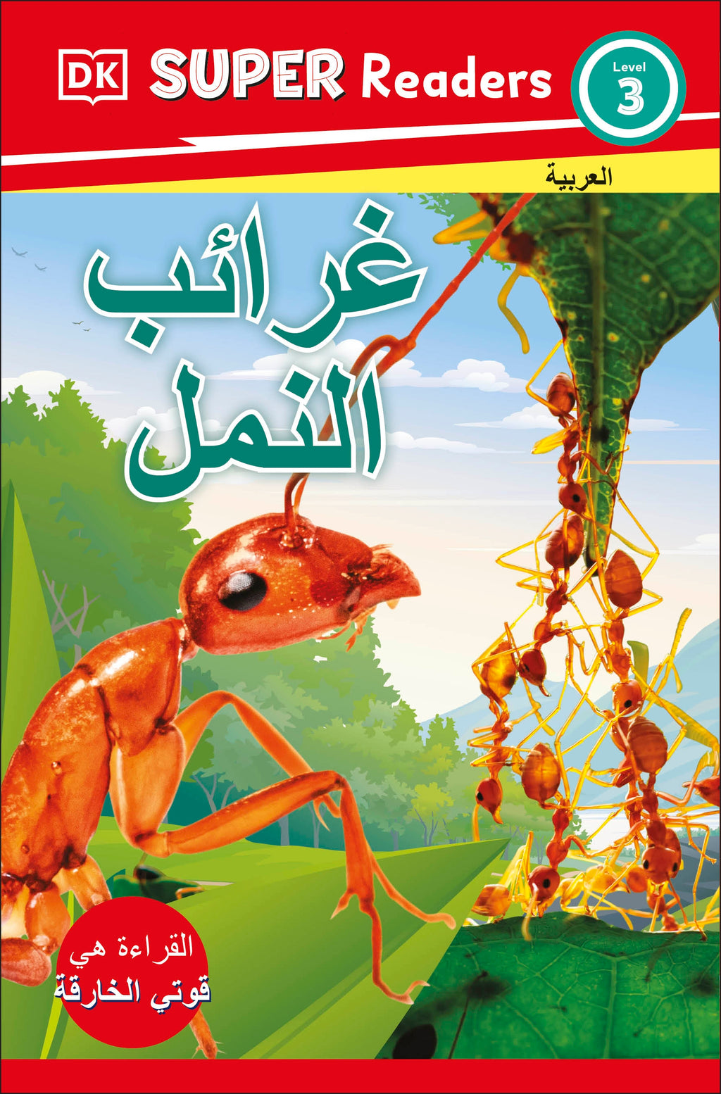 DK Super Readers Level 3 Ant Antics (Arabic translation)-book cover