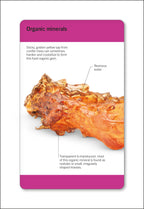 Our World in Pictures Rocks & Minerals Flash Cards-Spread, Image, (PRHC, Design, Do, Not, Use)-18