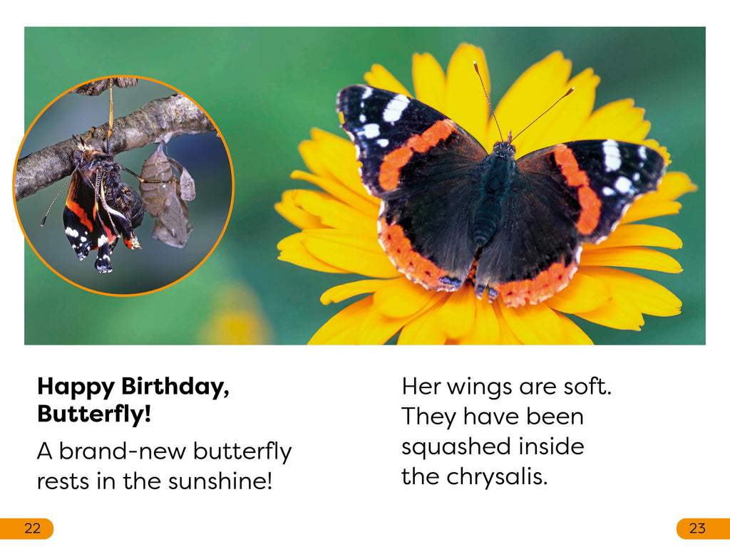 DK Super Readers Level 1 Becoming a Butterfly