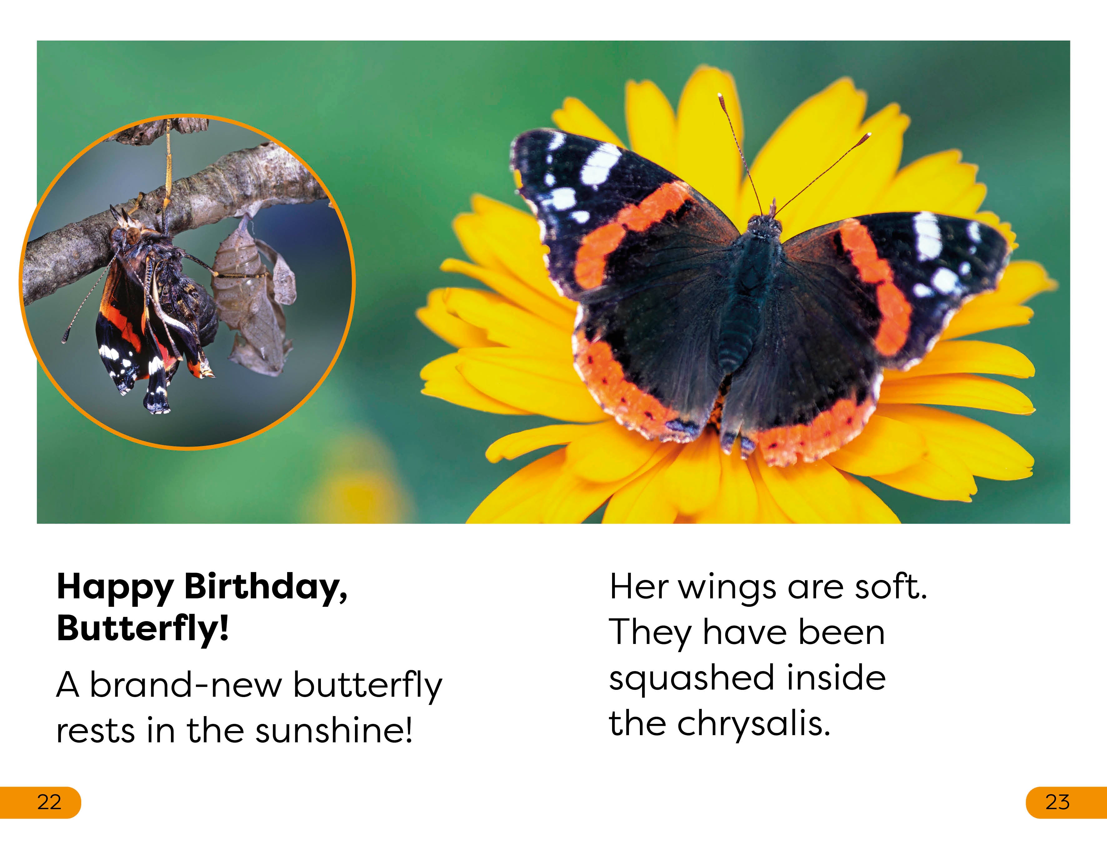 DK Super Readers Level 1 Becoming a Butterfly