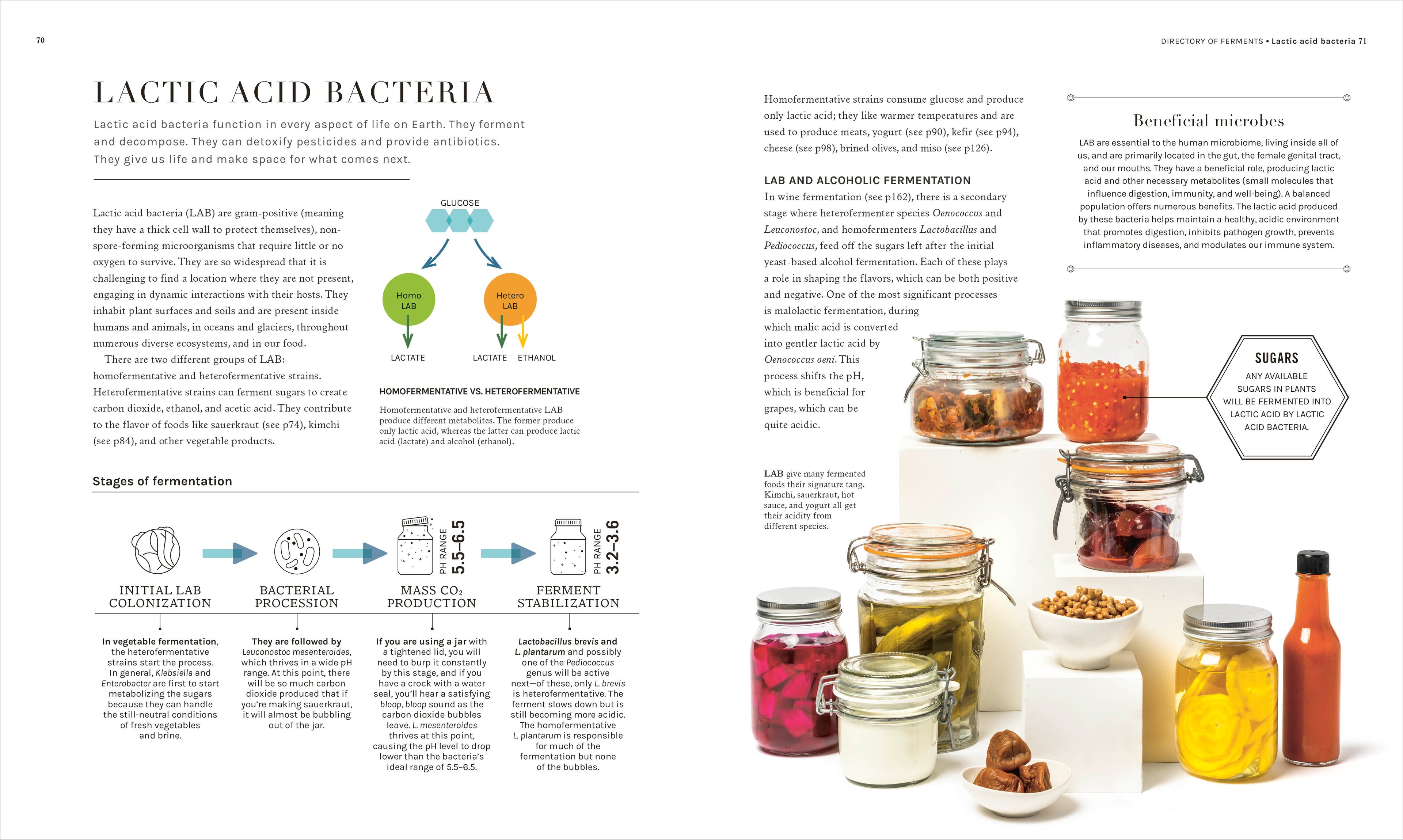 The Science of Fermentation-Spread, Image, (PRHC, Design, Do, Not, Use)-3
