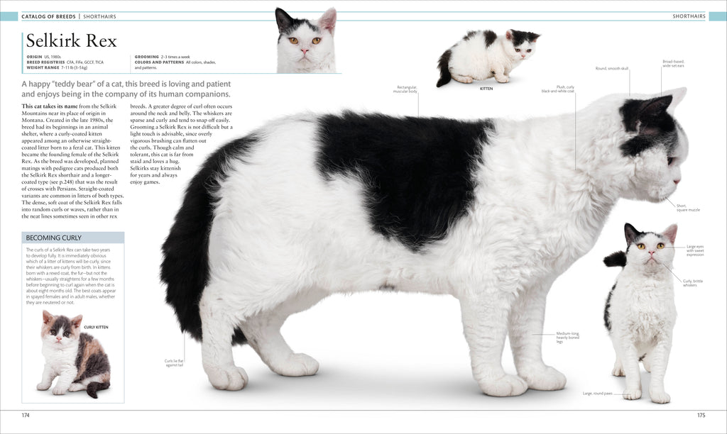 The Cat Encyclopedia-Spread, Image, (PRHC, Design, Do, Not, Use)-6