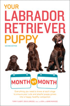 Your Labrador Retriever Puppy Month by Month, 2nd Edition jacket