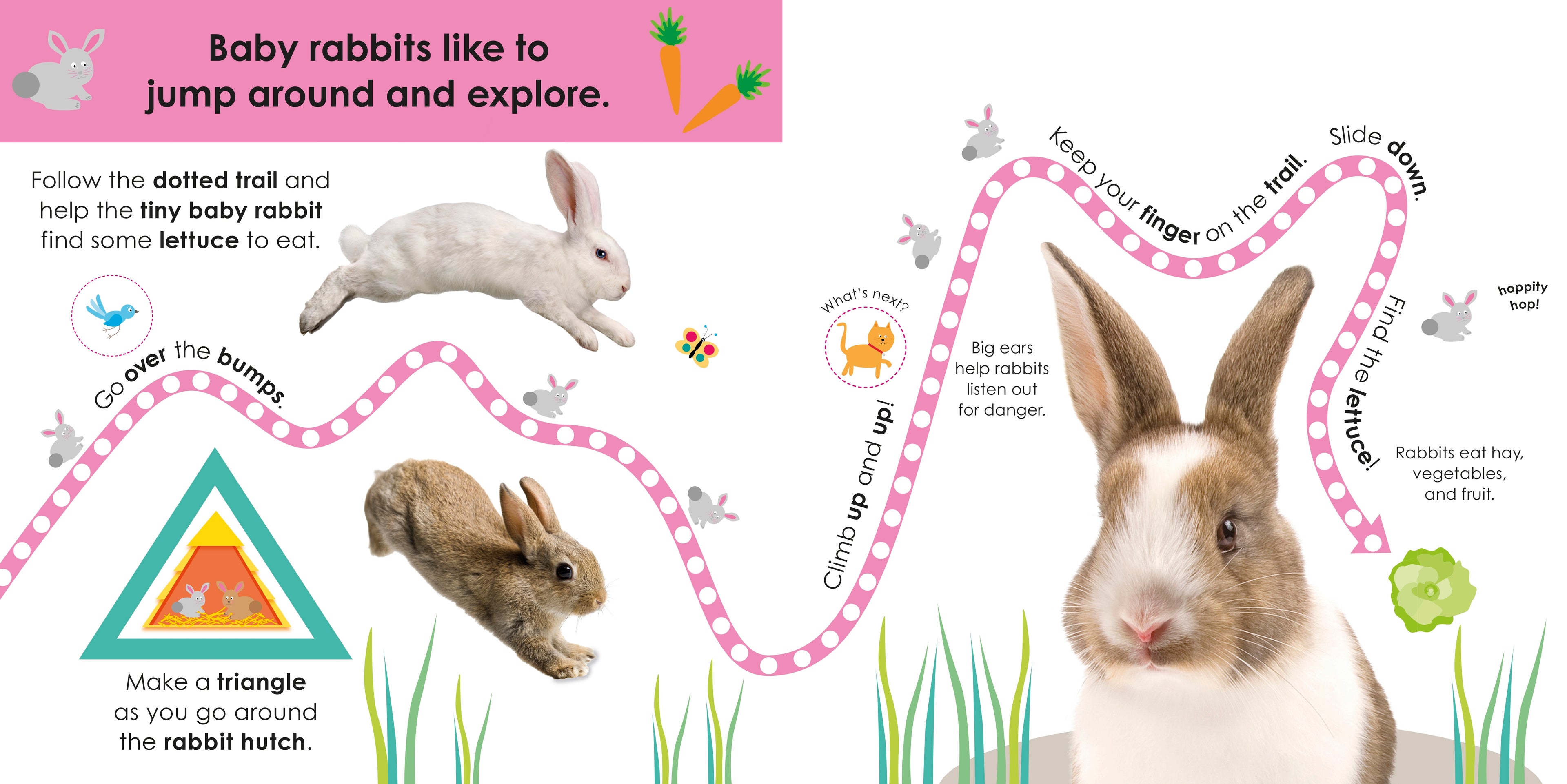 Follow the Trail: Baby Animals