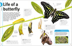 Our World in Pictures Bugs, Butterflies, Beetles and Bees