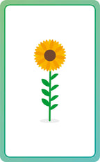 Italian for Everyone Junior First Words Flash Cards-Spread, Image, (PRHC, Design, Do, Not, Use)-4