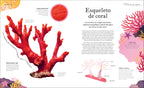 Tesoros de la naturaleza (Nature's Treasures)-Spread, Image, (PRHC, Design, Do, Not, Use)-4