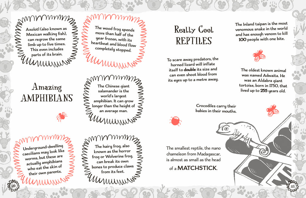 Radzi's Incredible Facts-Spread, Image, (PRHC, Design, Do, Not, Use)-4