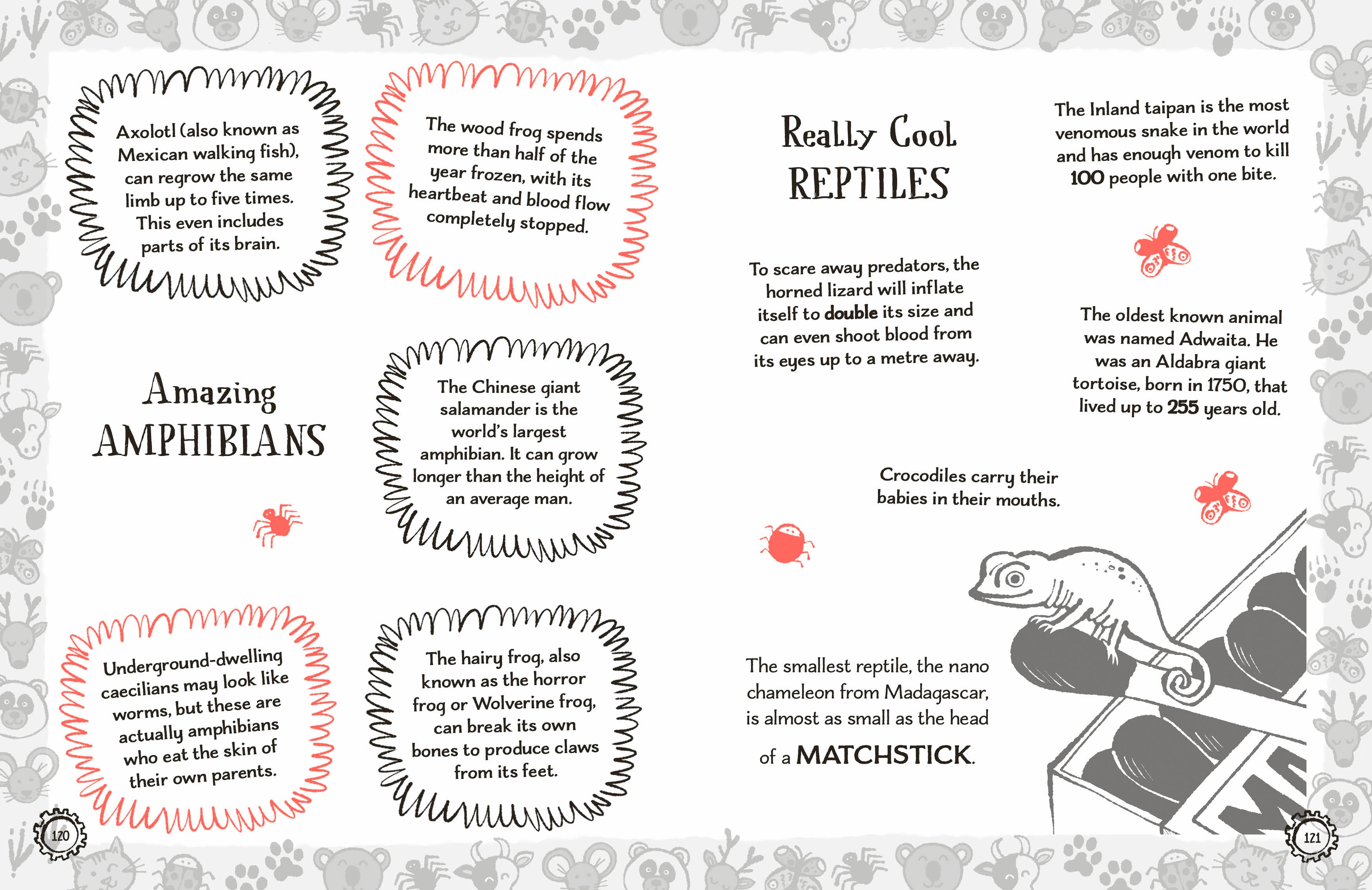 Radzi's Incredible Facts-Spread, Image, (PRHC, Design, Do, Not, Use)-4