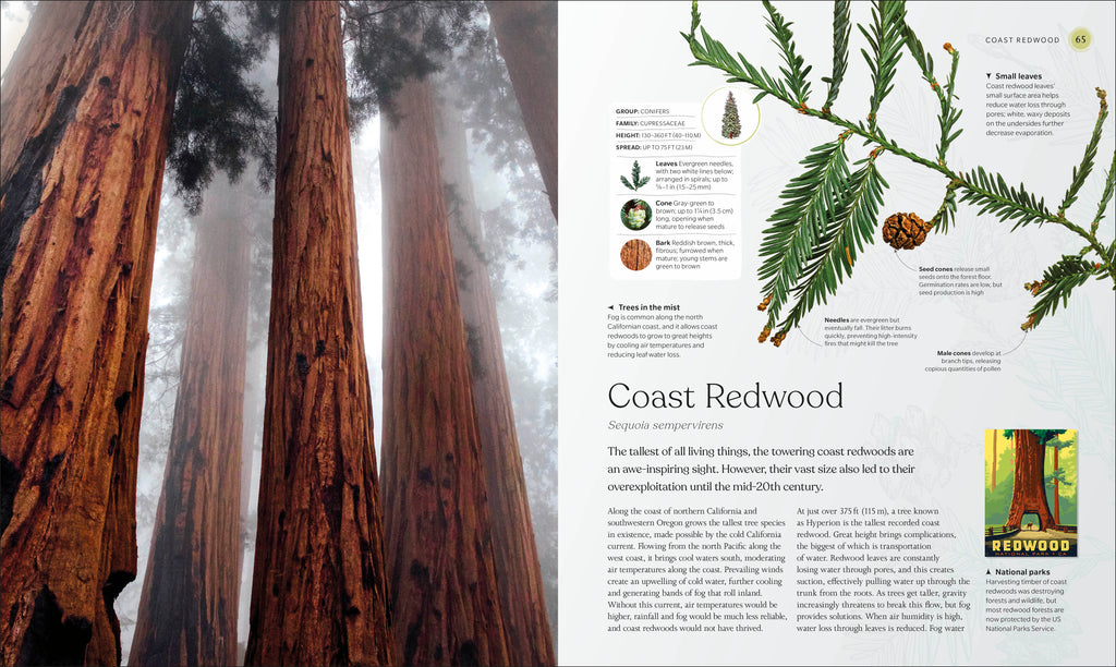 The Tree Book-Spread, Image, (PRHC, Design, Do, Not, Use)-2