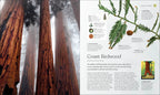 The Tree Book-Spread, Image, (PRHC, Design, Do, Not, Use)-2