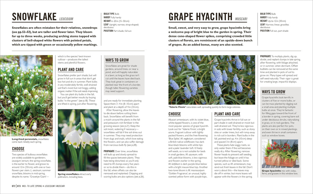 Grow Bulbs-Spread, Image, (PRHC, Design, Do, Not, Use)-2