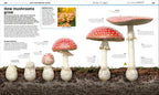 Knowledge Encyclopedia Plants and Fungi!