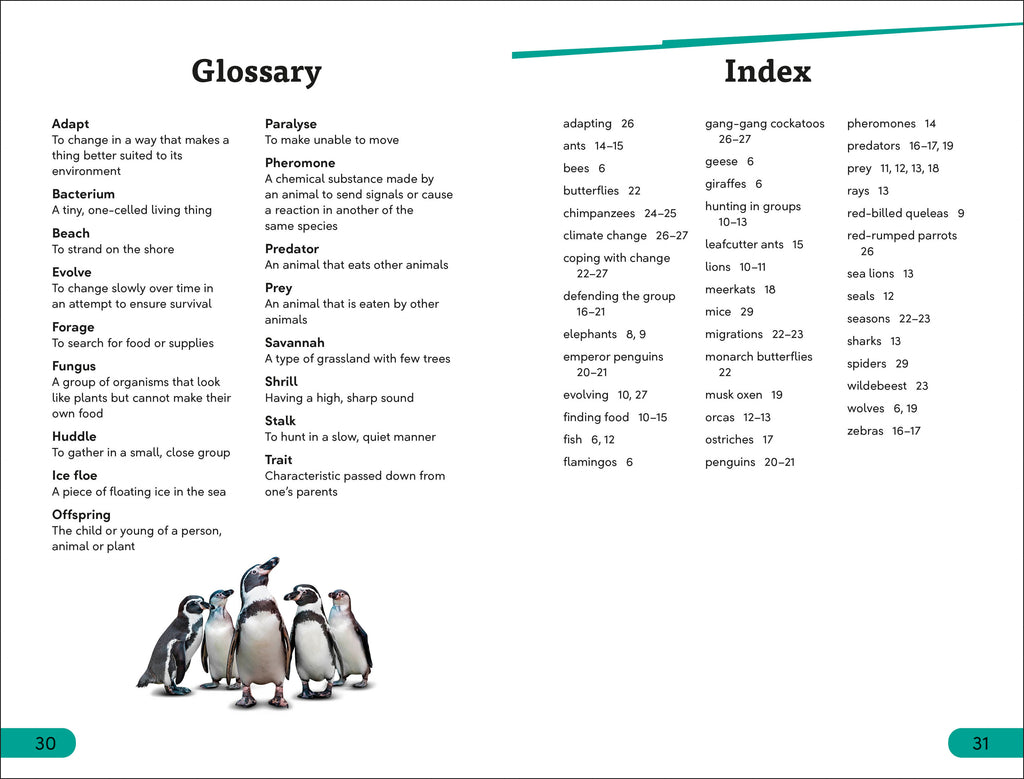 DK Super Readers Level 3 Wild Animal Groups