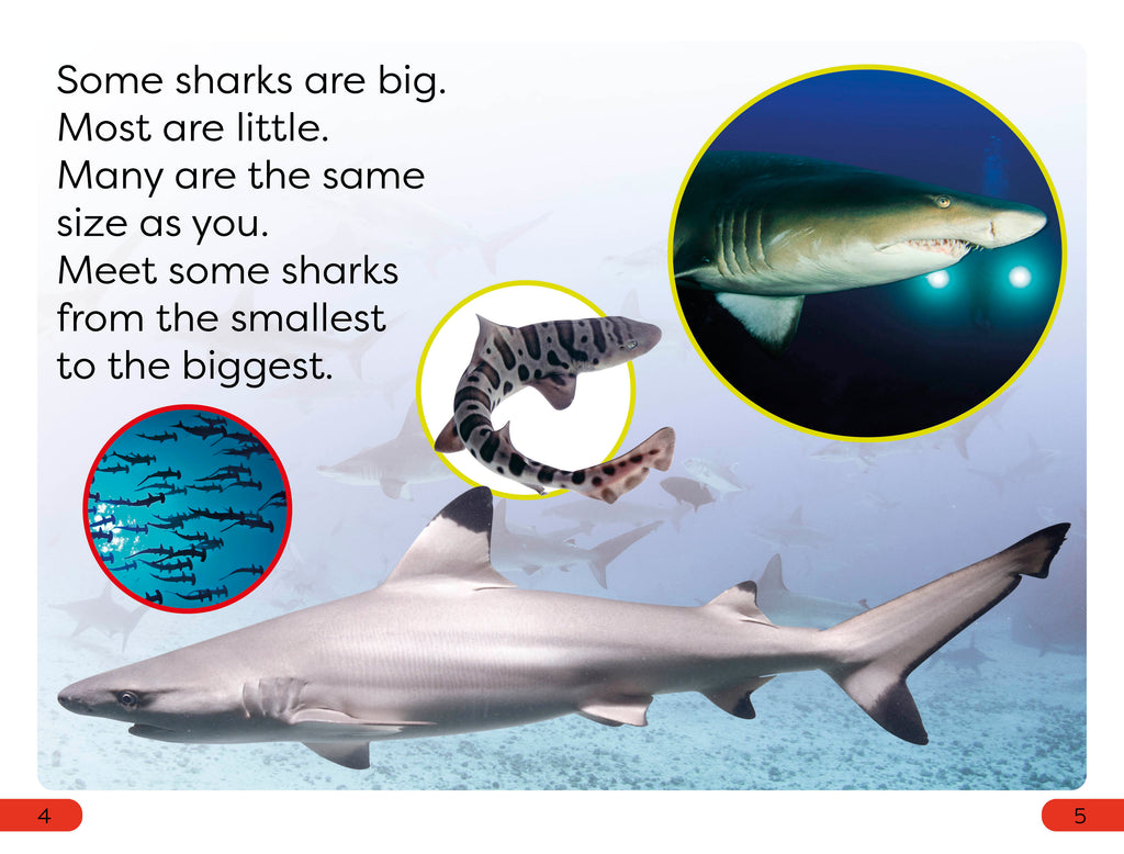 DK Super Readers Pre-Level Little Sharks Big Sharks