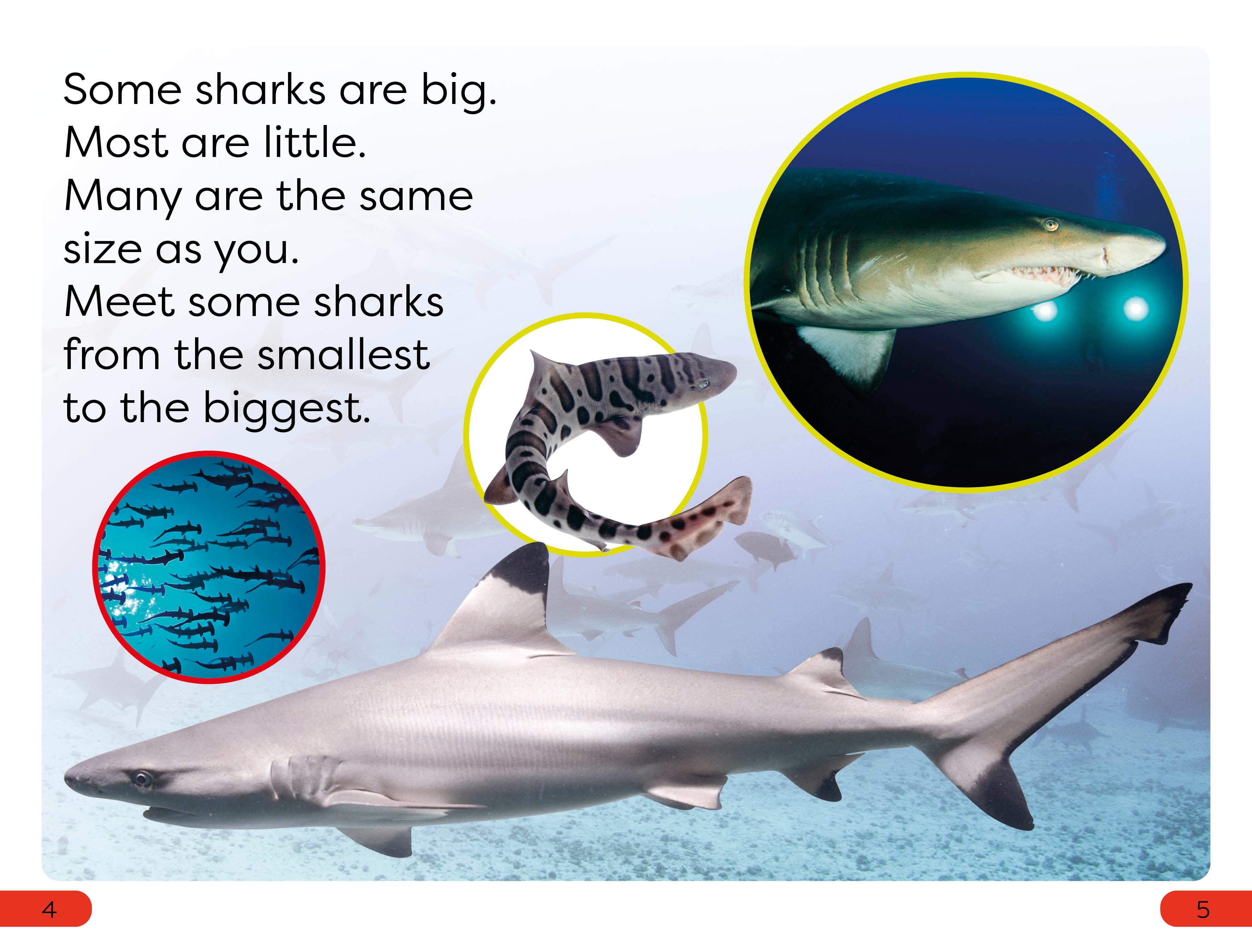 DK Super Readers Pre-Level Little Sharks Big Sharks