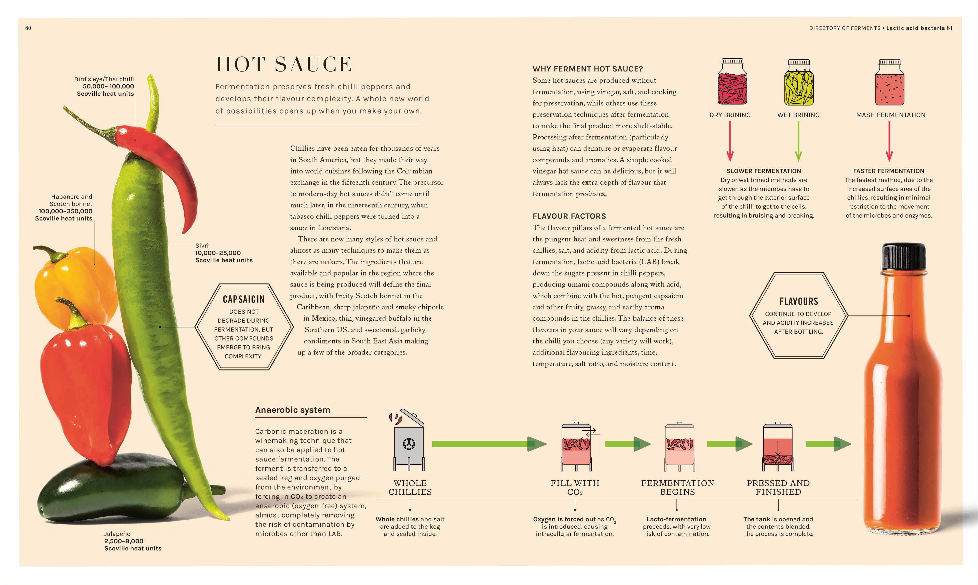 The Science of Fermentation