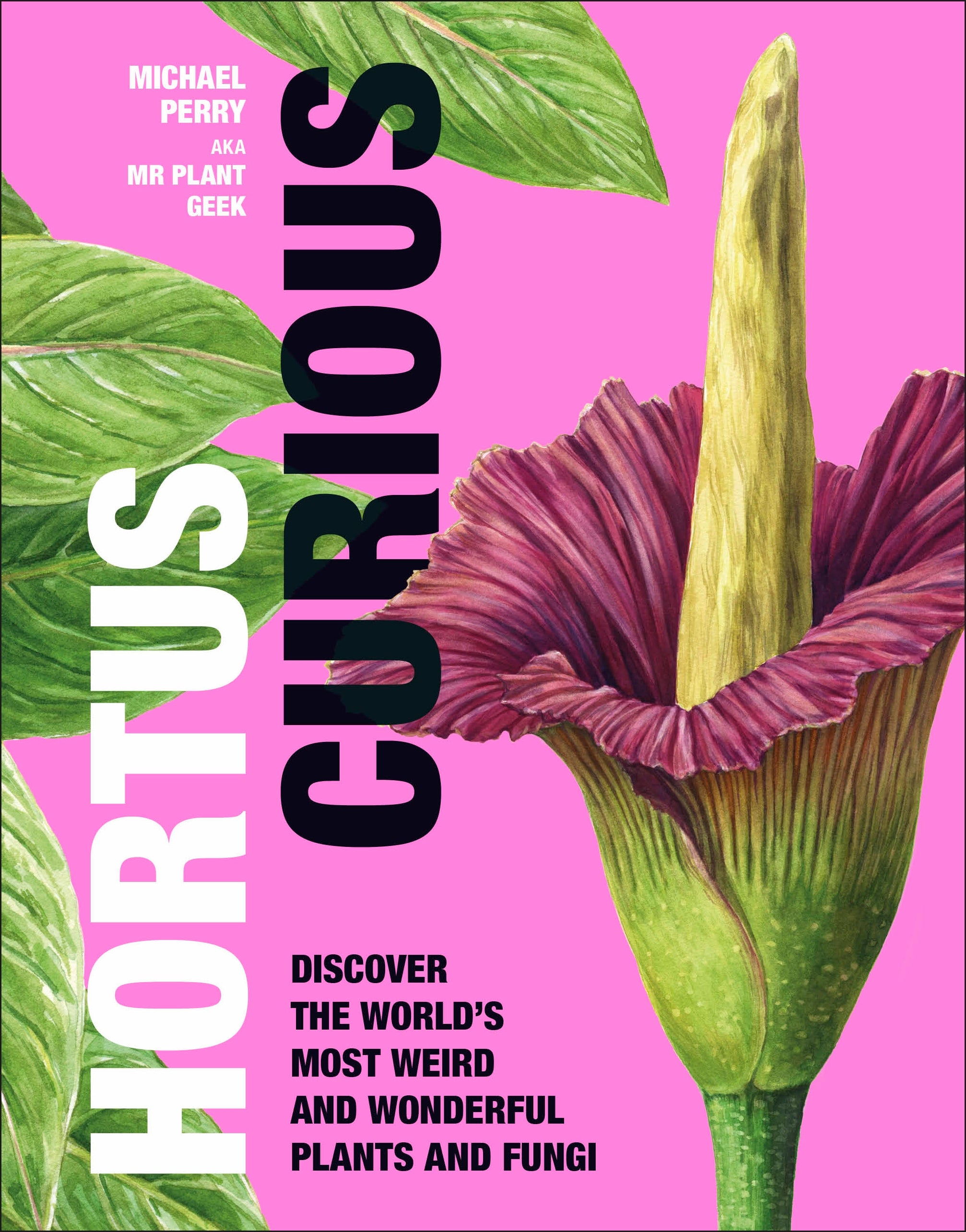 Hortus Curious spread 2