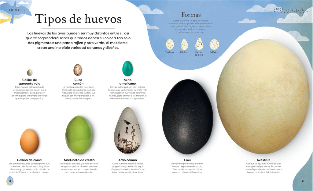 Tesoros de la naturaleza (Nature's Treasures)-Spread, Image, (PRHC, Design, Do, Not, Use)-2