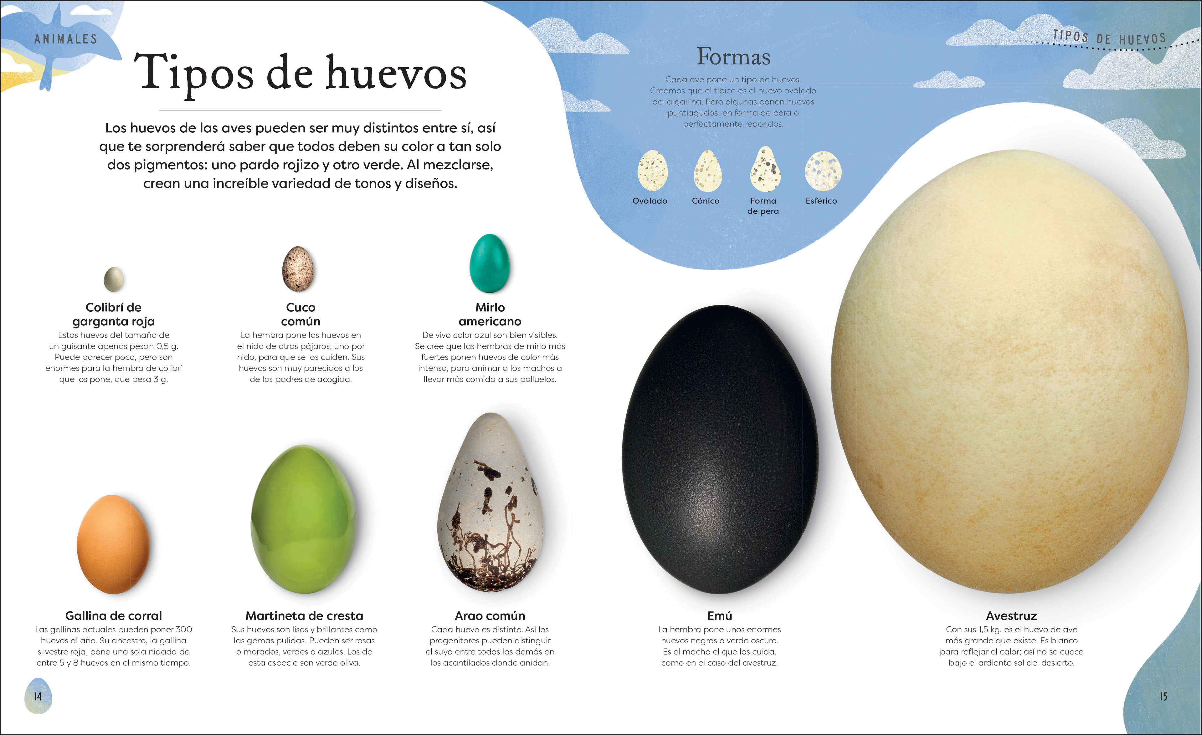 Tesoros de la naturaleza (Nature's Treasures)-Spread, Image, (PRHC, Design, Do, Not, Use)-2