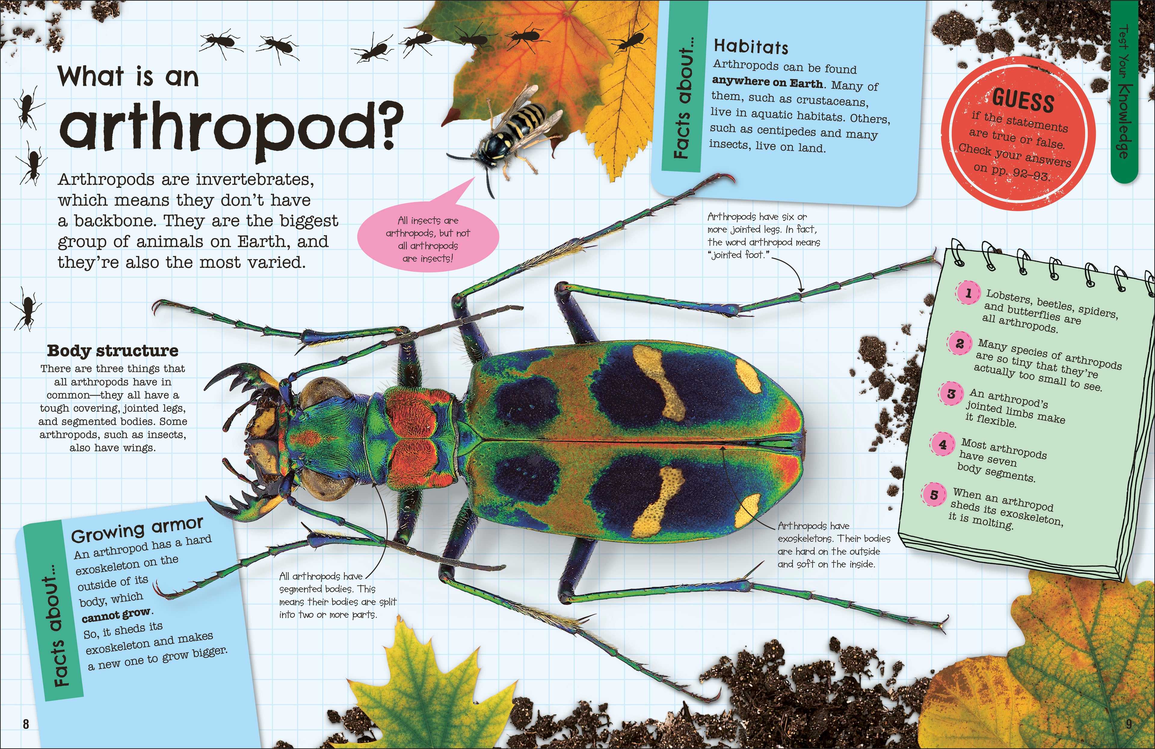 The Fact-Packed Activity Book: Insects-Spread, Image, (PRHC, Design, Do, Not, Use)-1