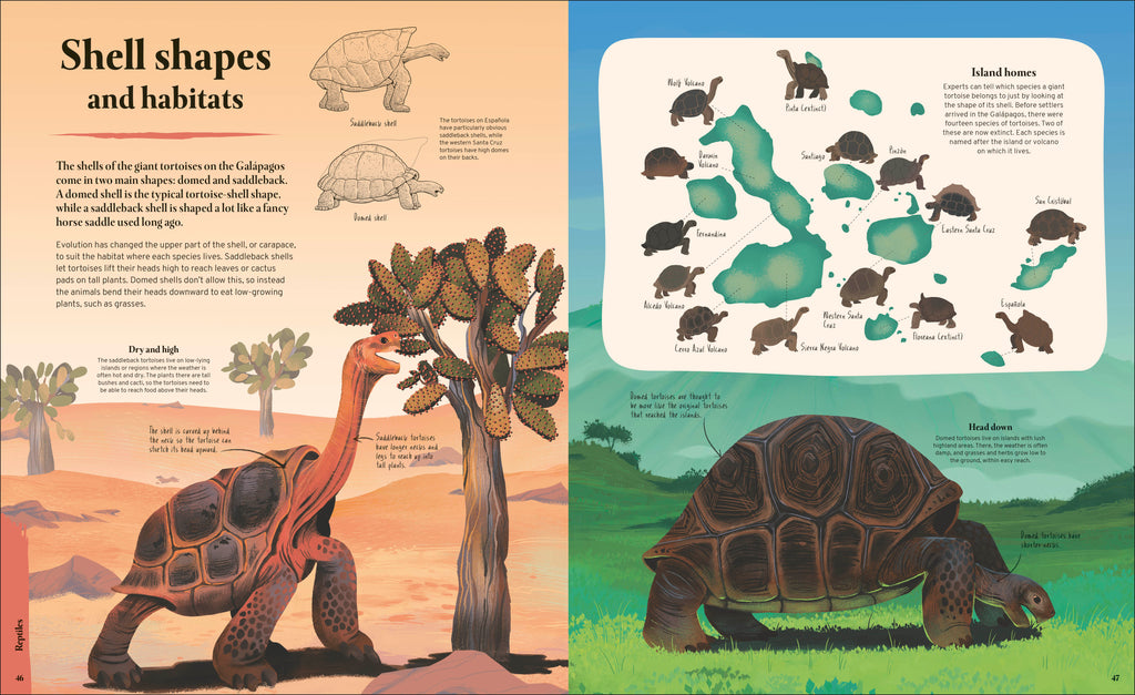 Galapagos-Spread, Image, (PRHC, Design, Do, Not, Use)-4