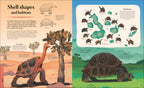 Galapagos-Spread, Image, (PRHC, Design, Do, Not, Use)-4