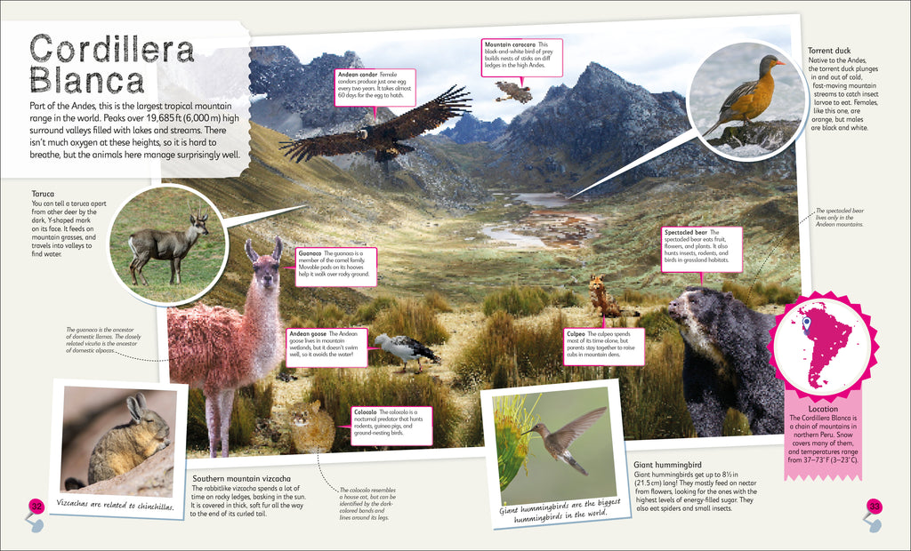 Children's Illustrated Atlas Collection-Spread, Image, (PRHC, Design, Do, Not, Use)-5