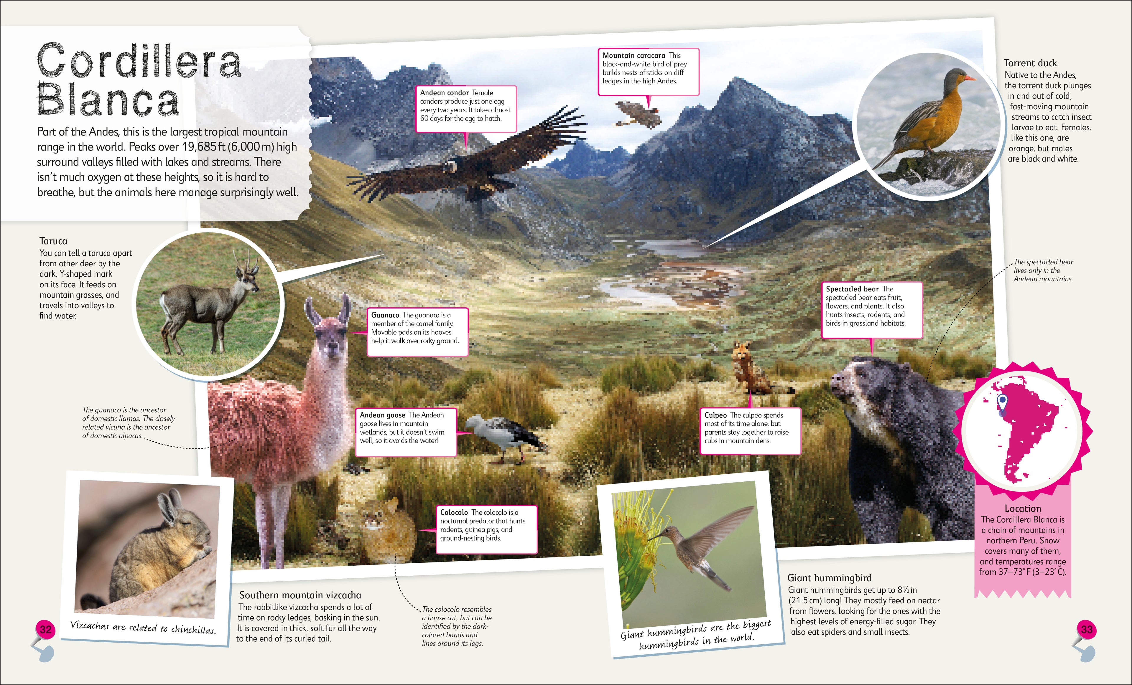 Children's Illustrated Atlas Collection-Spread, Image, (PRHC, Design, Do, Not, Use)-5