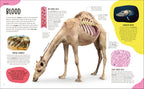 The Animal Body Book-Spread, Image, (PRHC, Design, Do, Not, Use)-18