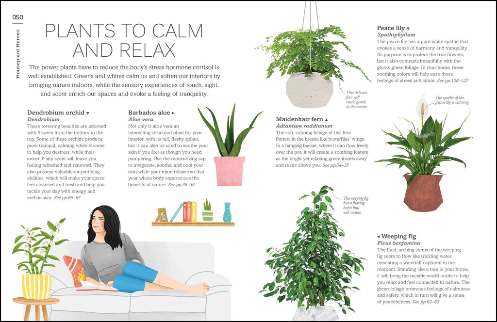 My Houseplant Changed My Life