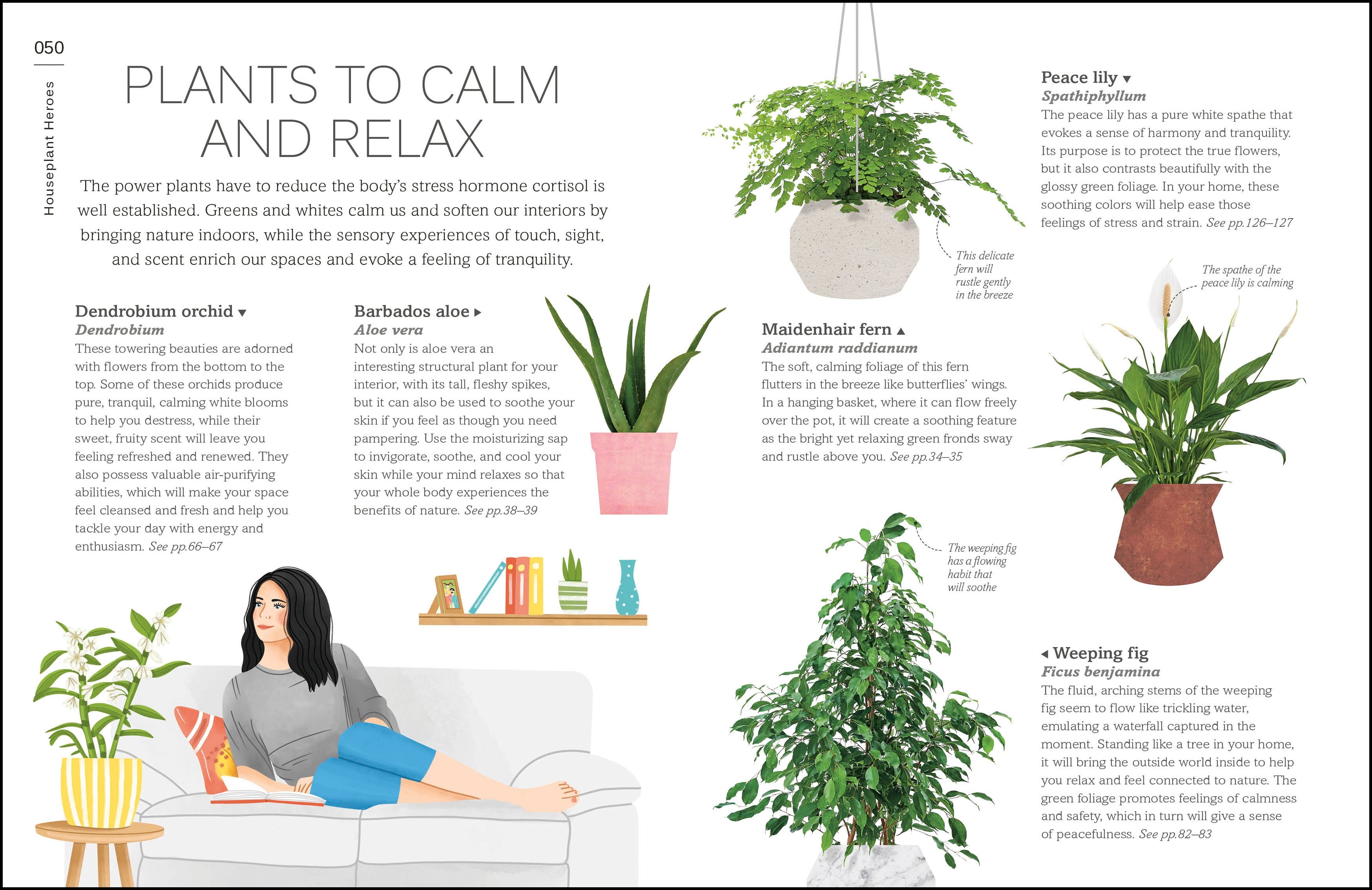 My Houseplant Changed My Life