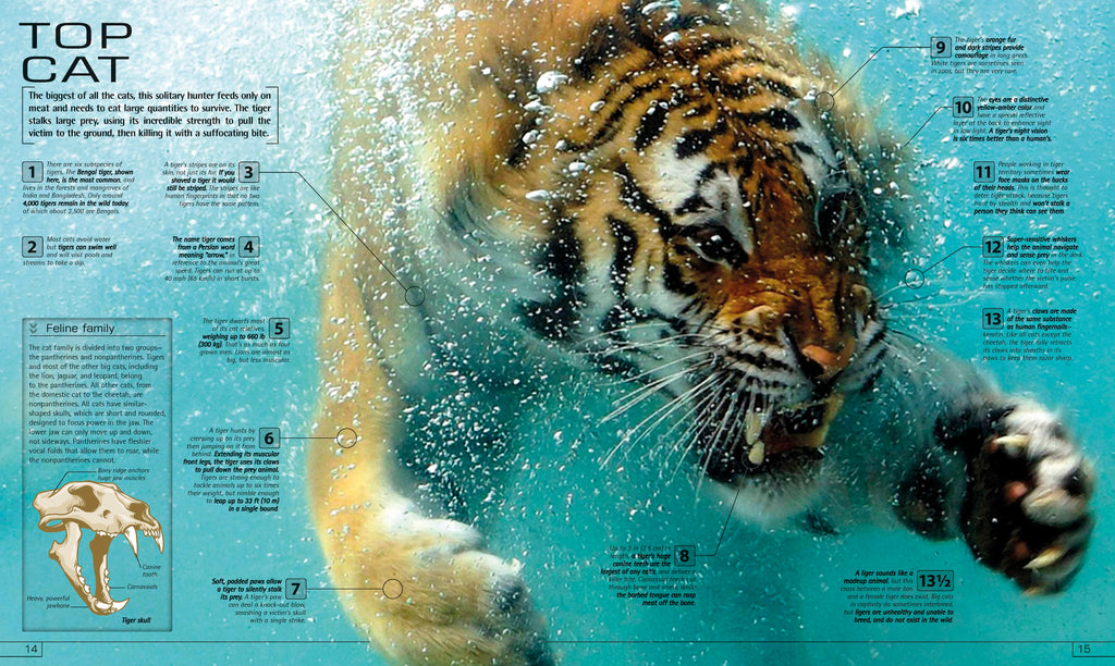 13½ Incredible Things You Need to Know About Everything