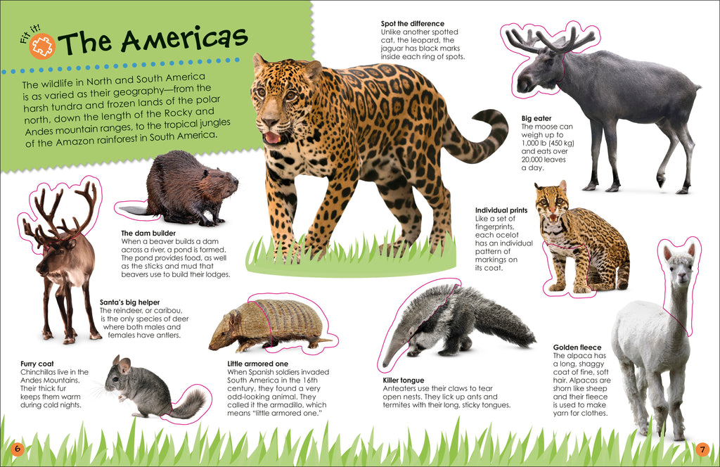 Ultimate Sticker Book Animals