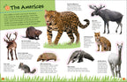 Ultimate Sticker Book Animals