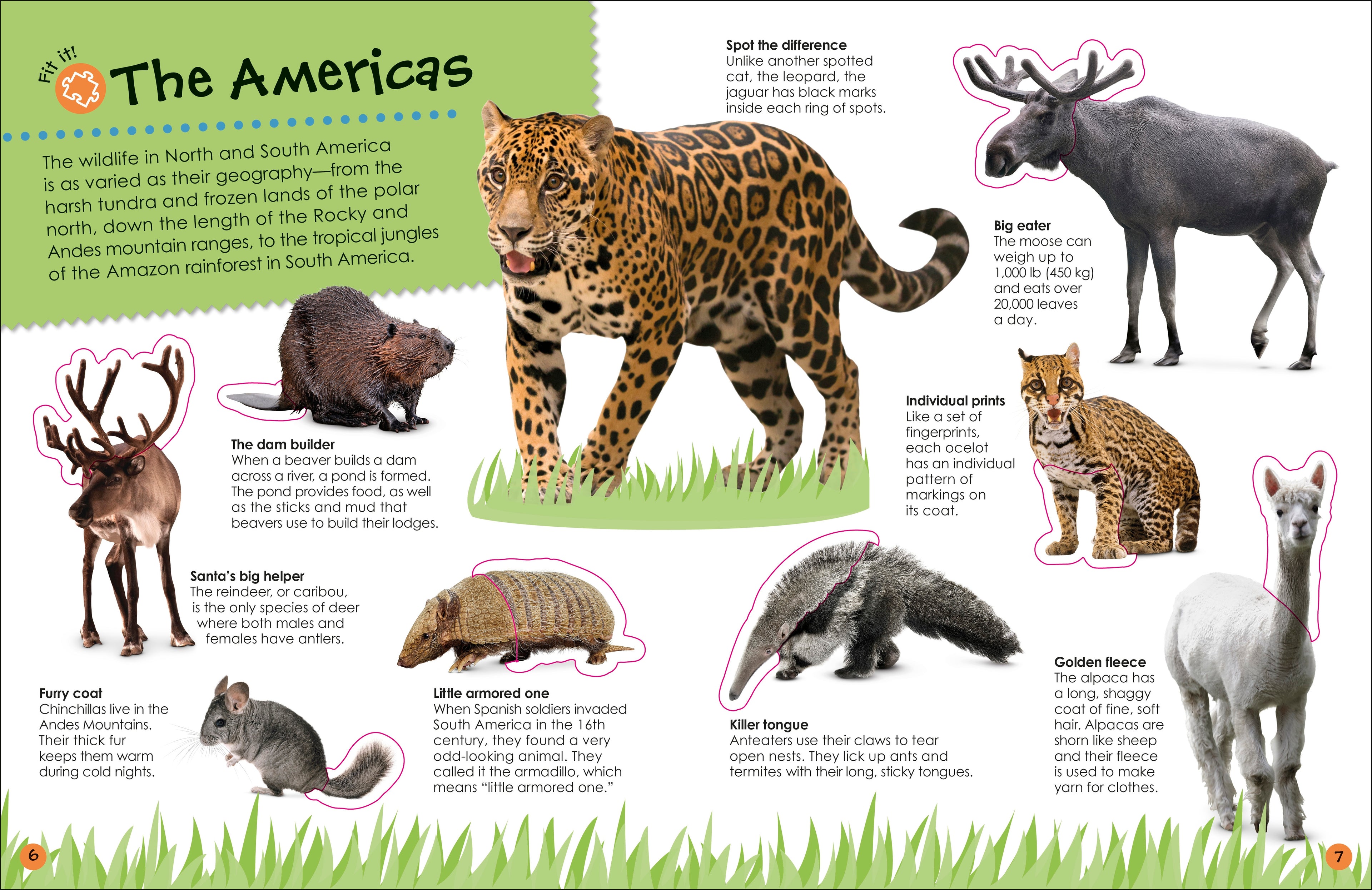 Ultimate Sticker Book Animals