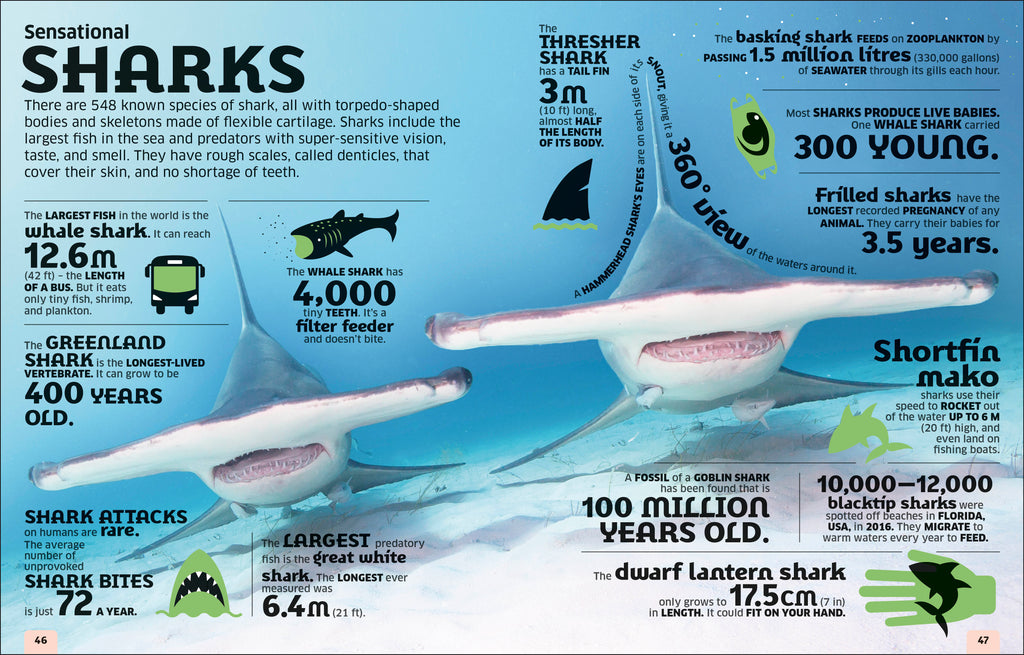 Our World in Numbers Animals