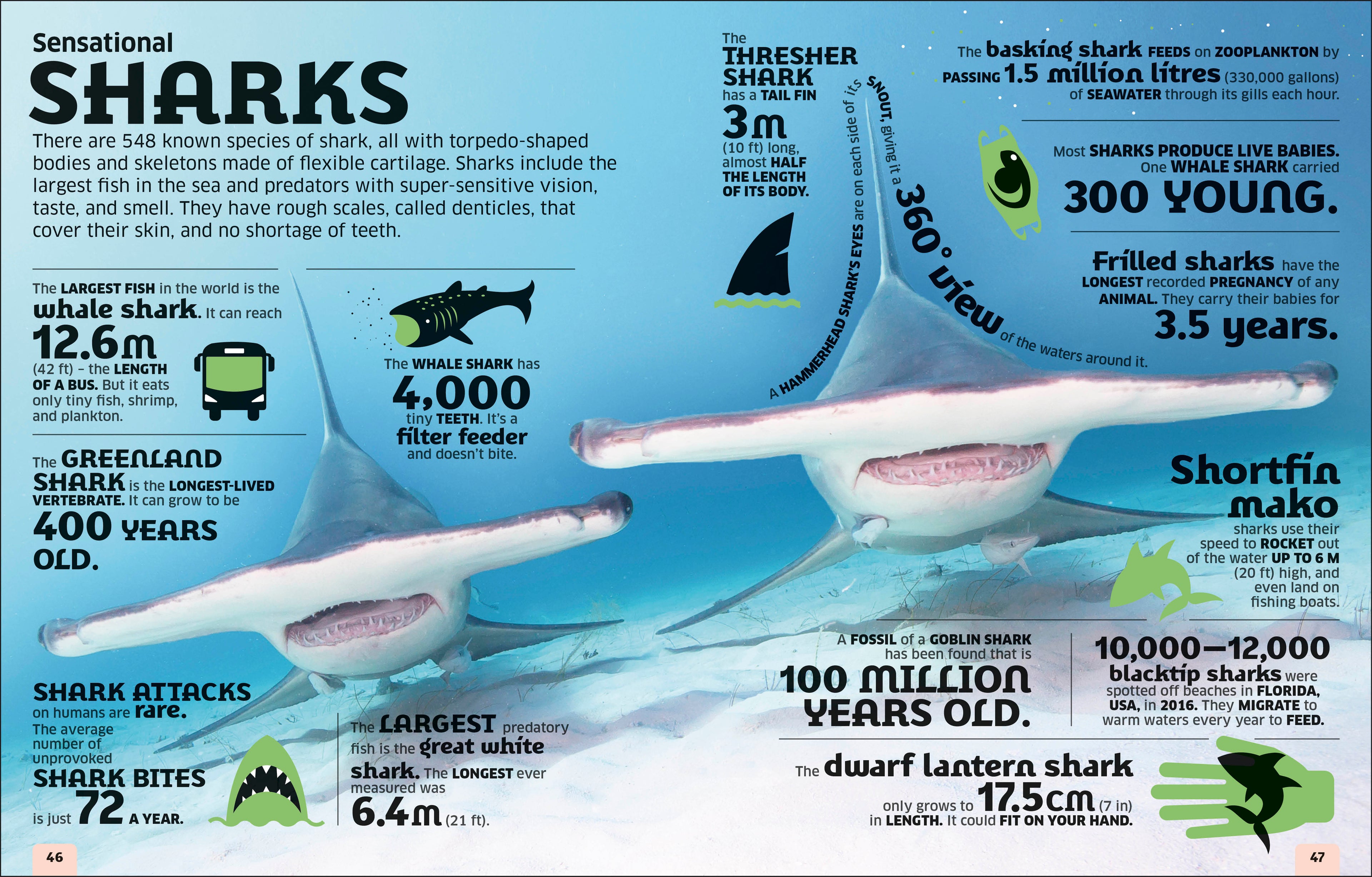 Our World in Numbers Animals