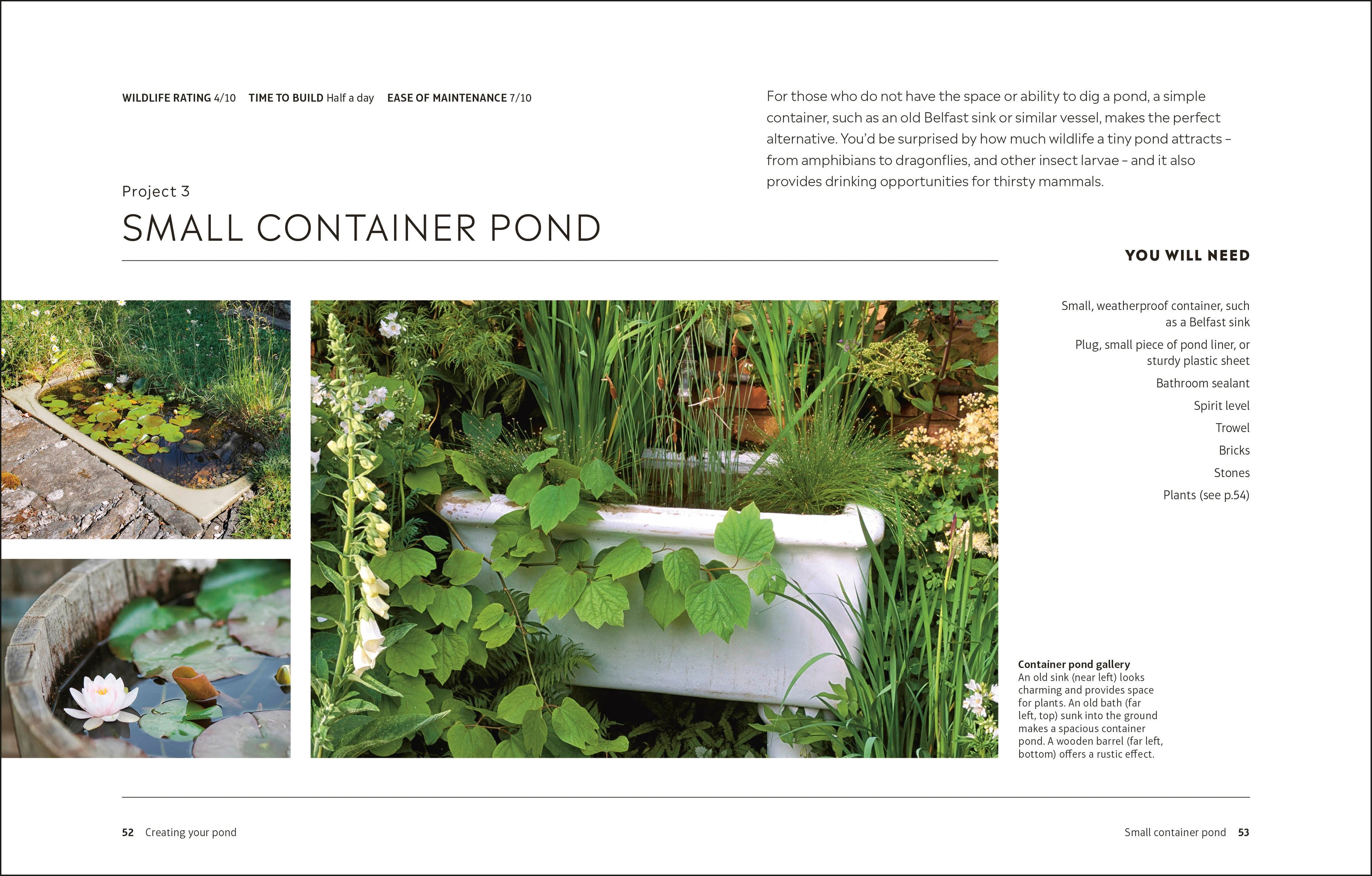 RHS How to Create a Wildlife Pond
