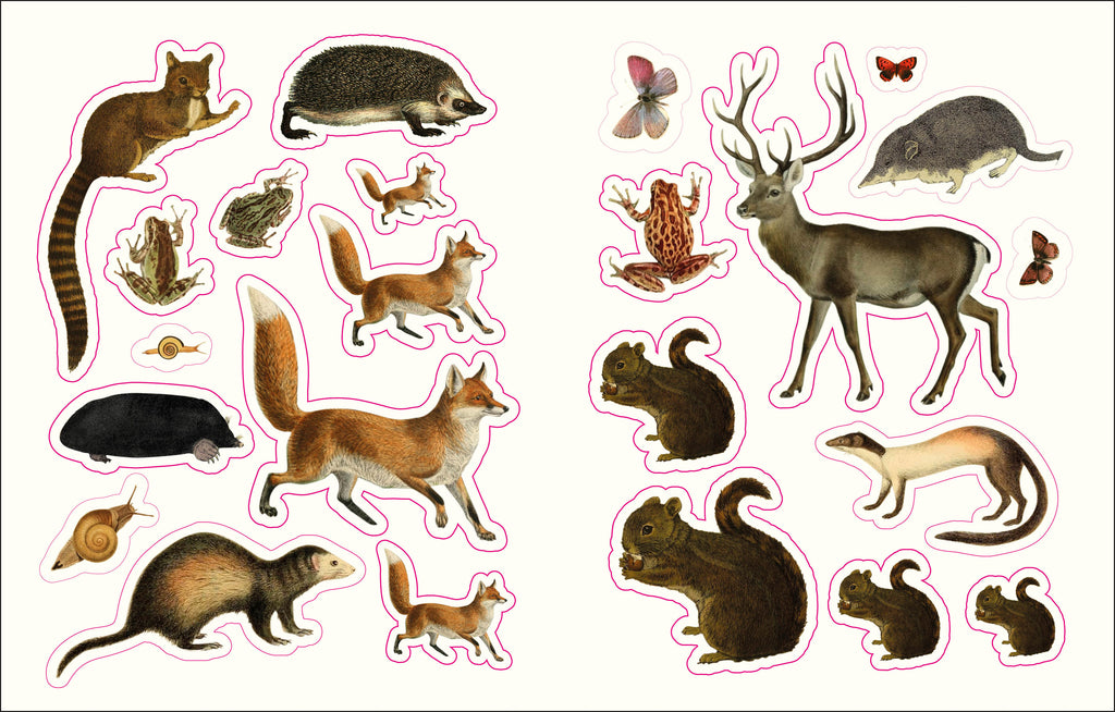 The Forests, Fairies and Fungi Sticker Anthology-image