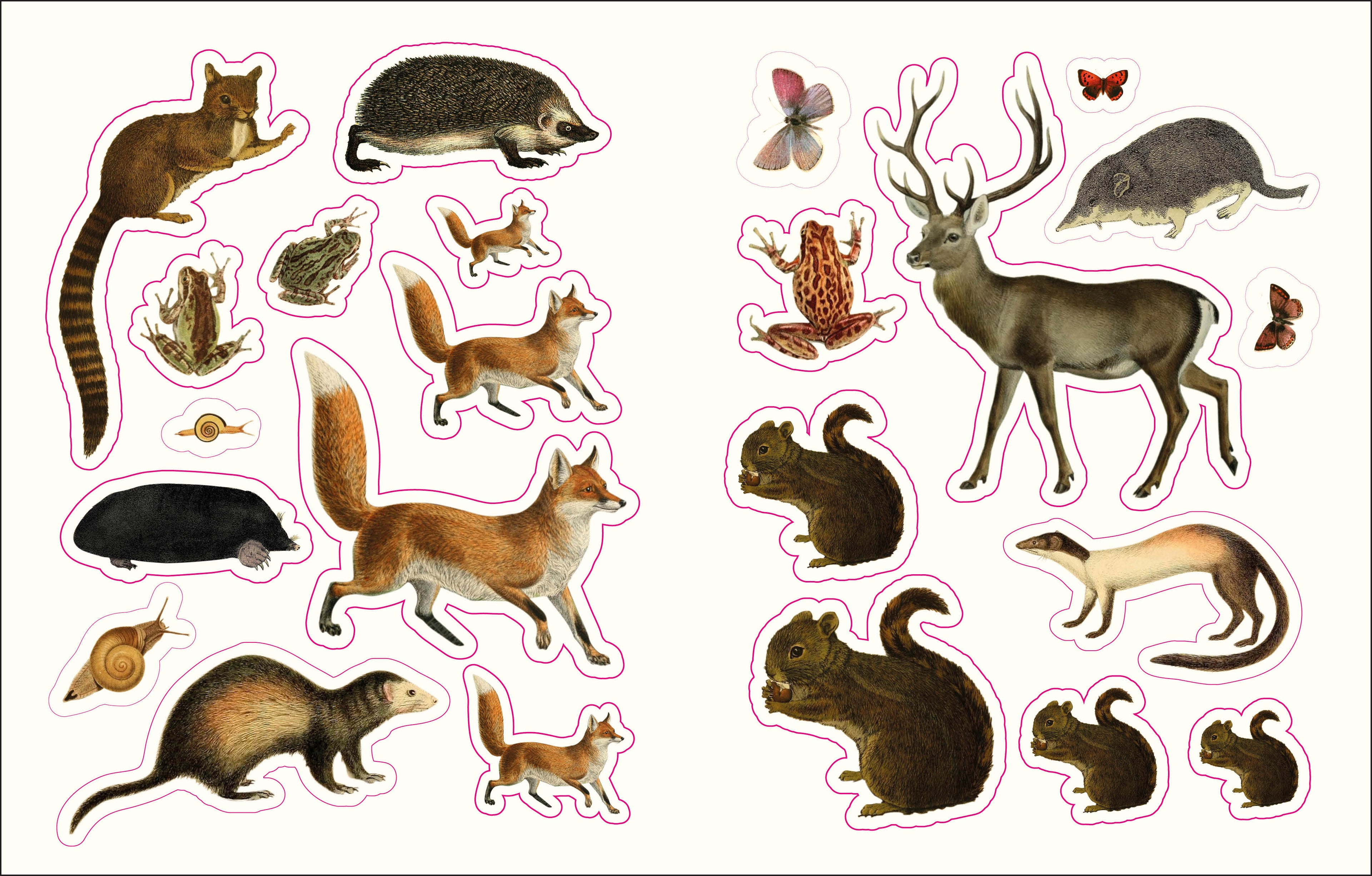 The Forests, Fairies and Fungi Sticker Anthology-image