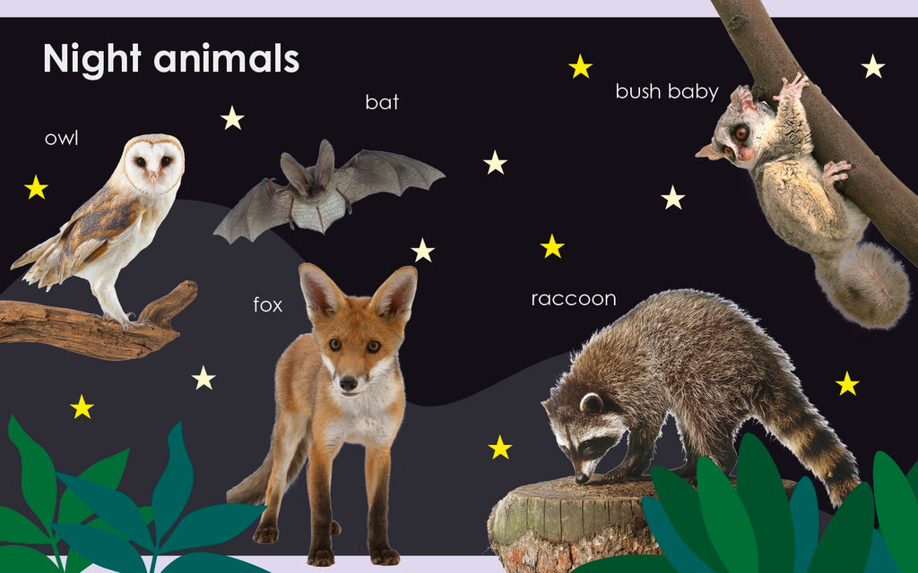 My First Day and Night