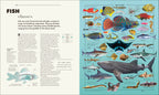 Knowledge A Visual Compendium-Spread, Image, (PRHC, Design, Do, Not, Use)-7