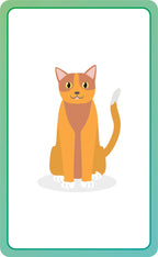 French for Everyone Junior First Words Flash Cards-image