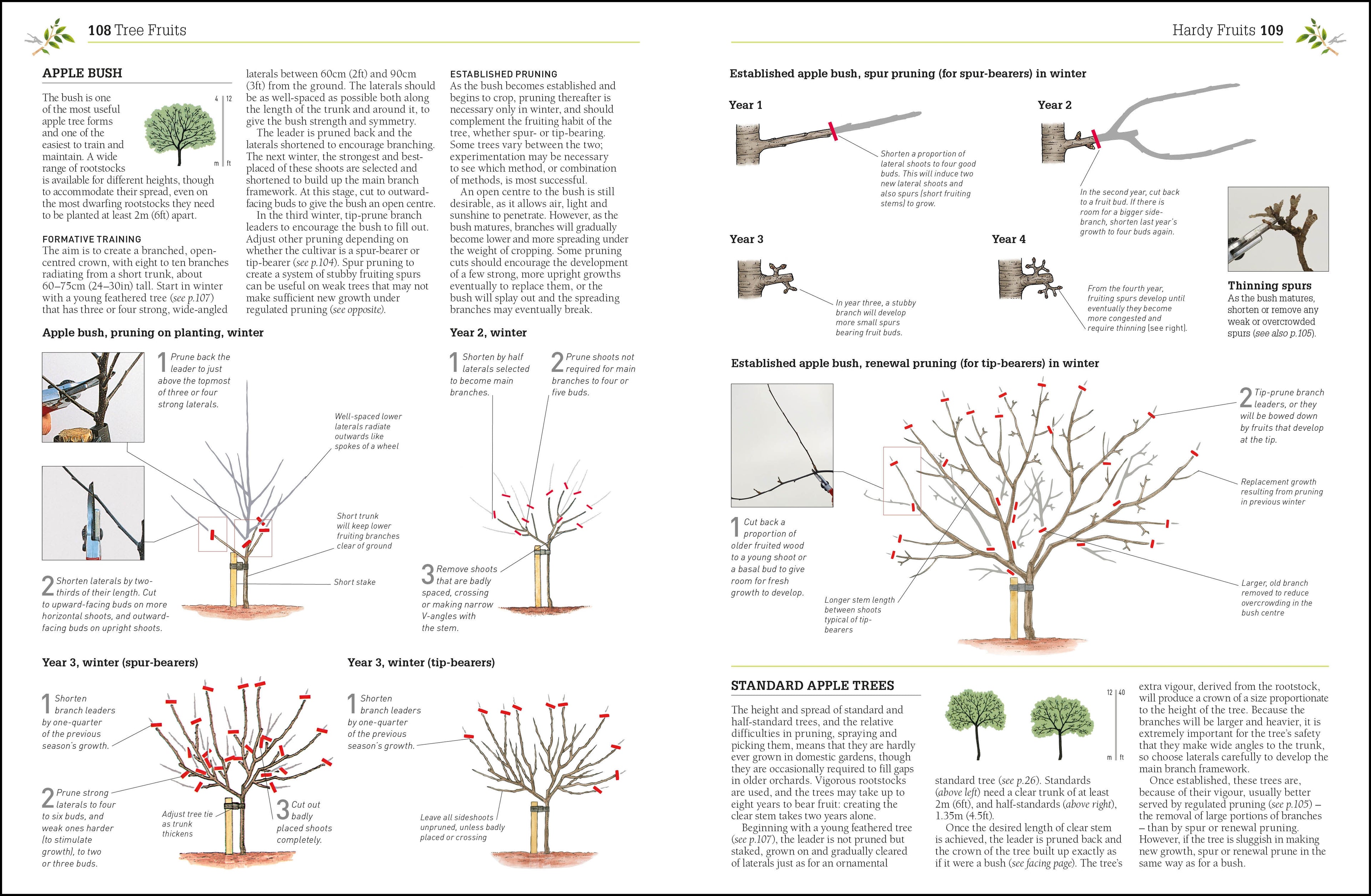 RHS Pruning and Training