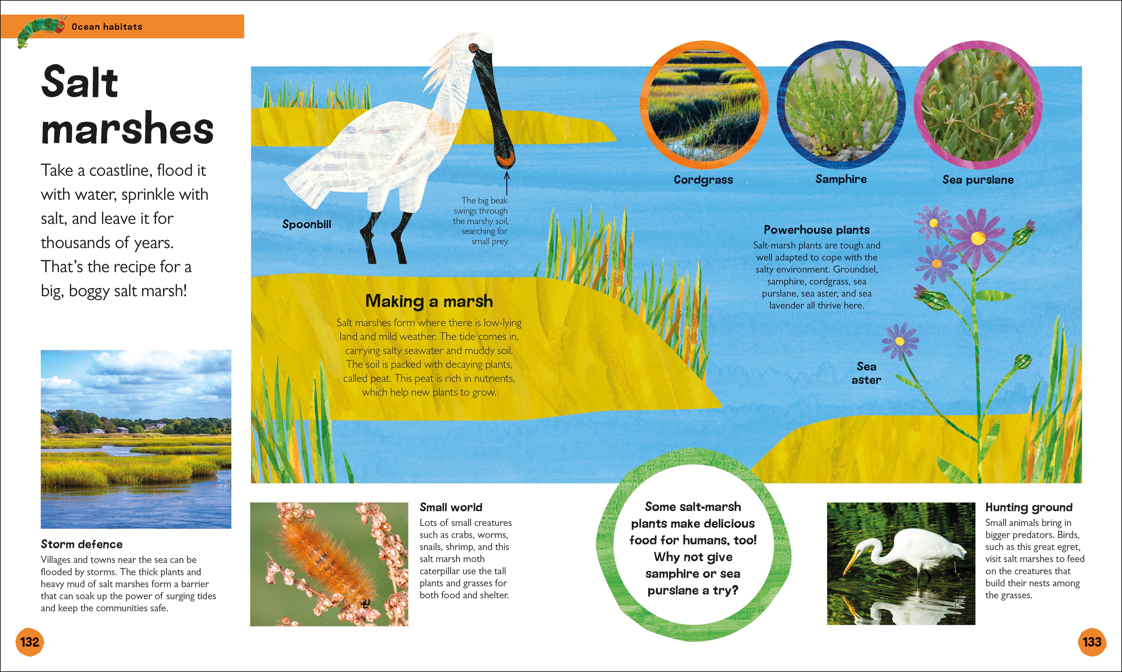 The Very Hungry Caterpillar's Very First Ocean Encyclopedia-Spread, Image, (PRHC, Design, Do, Not, Use)-5